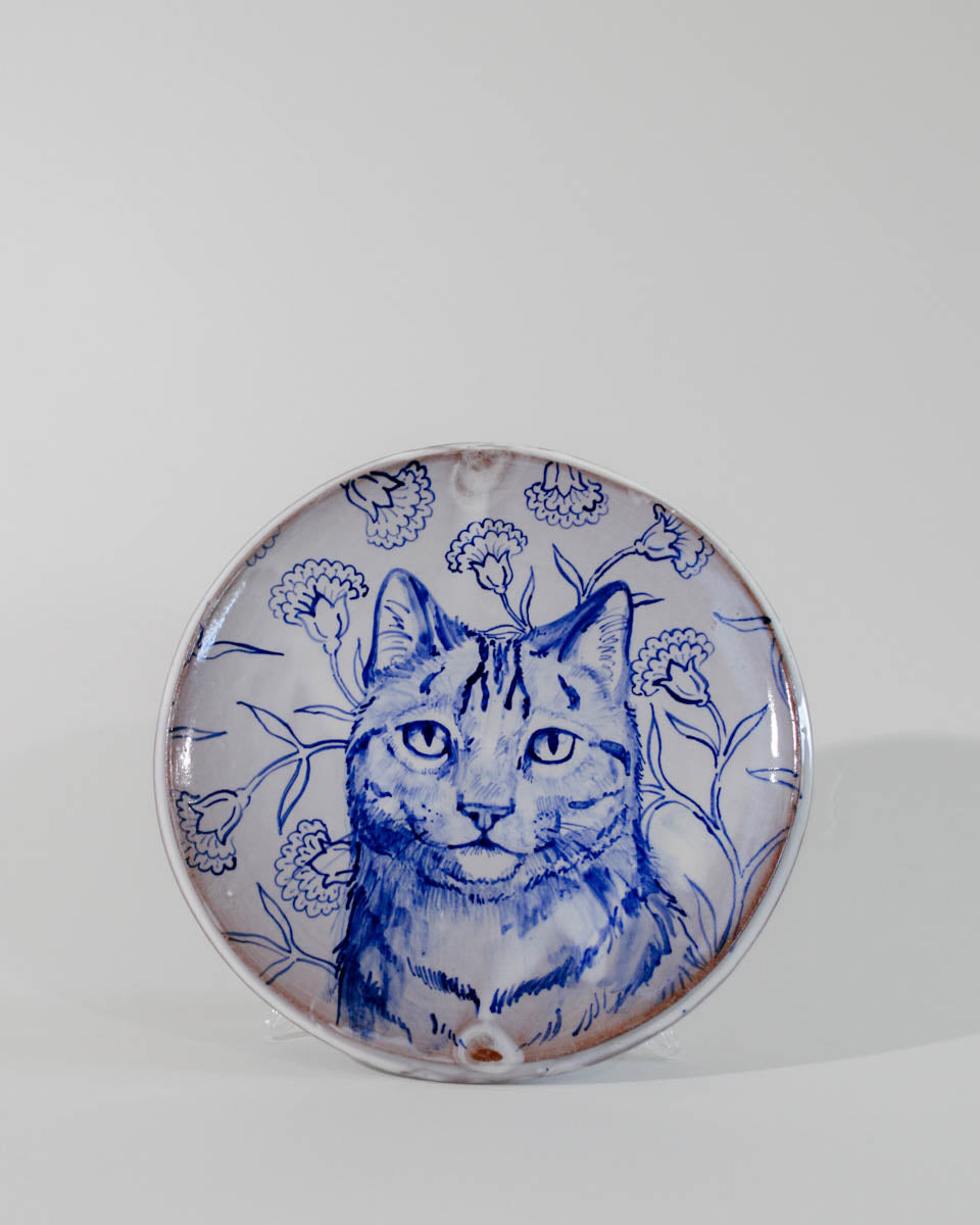 cat lunch plate