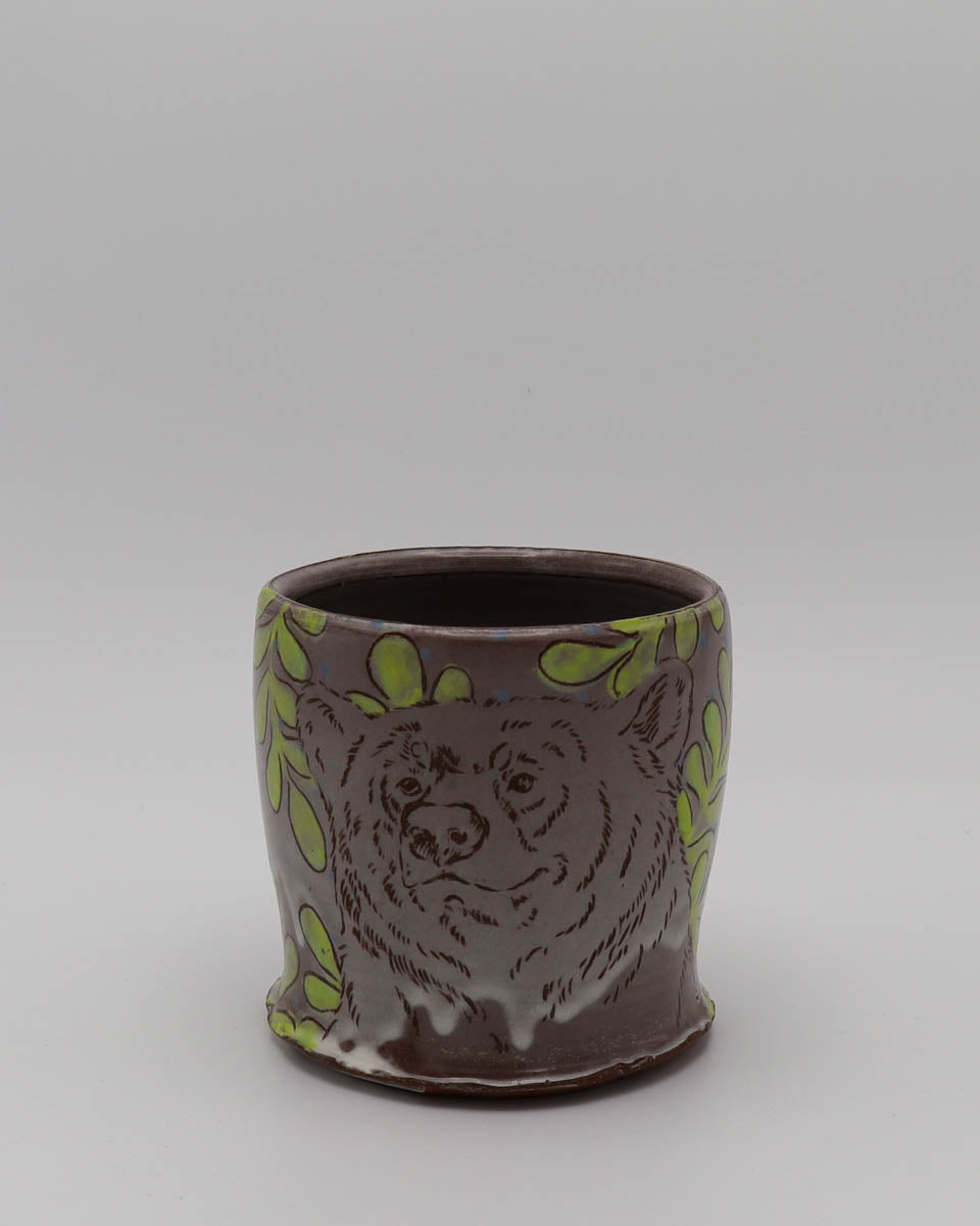 Bear Fern Cup