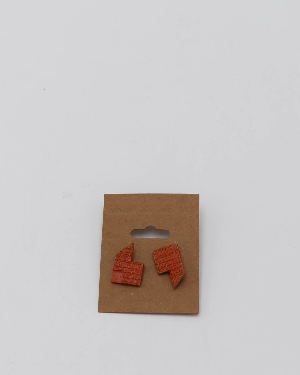 Earrings 5
